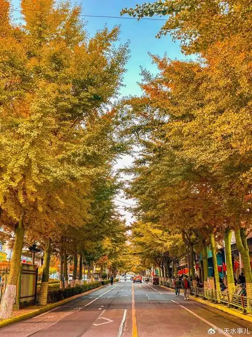 爱上天水的理由又多了一个青年南路太漂亮了