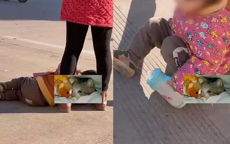 男孩穿开裆裤侧躺在地,手捧奶瓶不断左右乱晃,大人举动让人心寒_哔哩