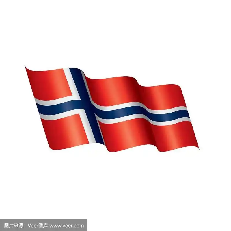 挪威国旗,矢量插图在白色的背景