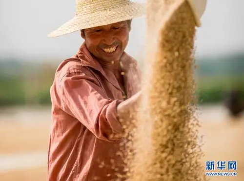 中国农民丰收节|丰收的笑脸