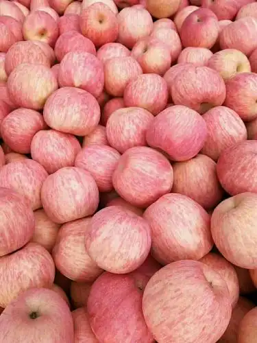 [红富士苹果批发]红富士苹果 纸袋 条红 价格1.2元/斤 - 惠农网