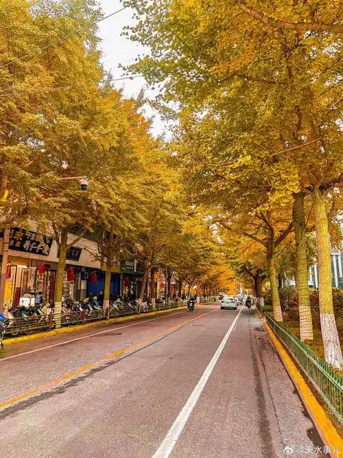 爱上天水的理由又多了一个青年南路太漂亮了