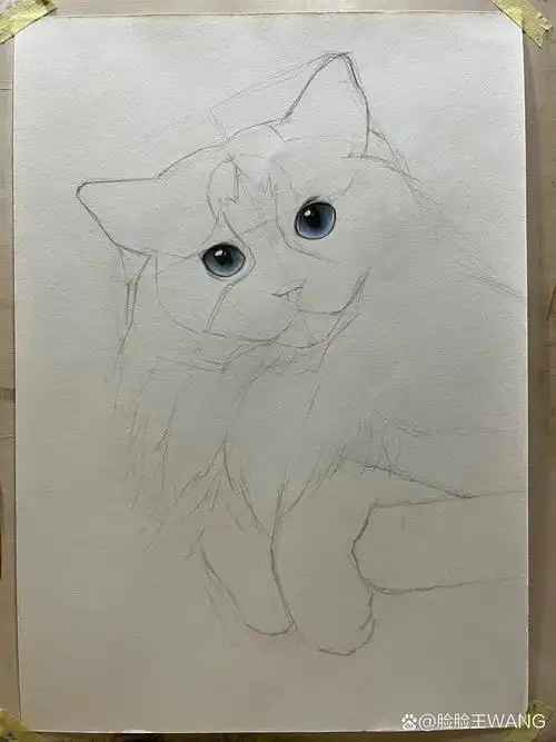 精微素描布偶猫咪步骤图