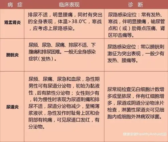 多见于育龄期和绝经后女性,老年男性,免疫力低下及尿路畸形者.