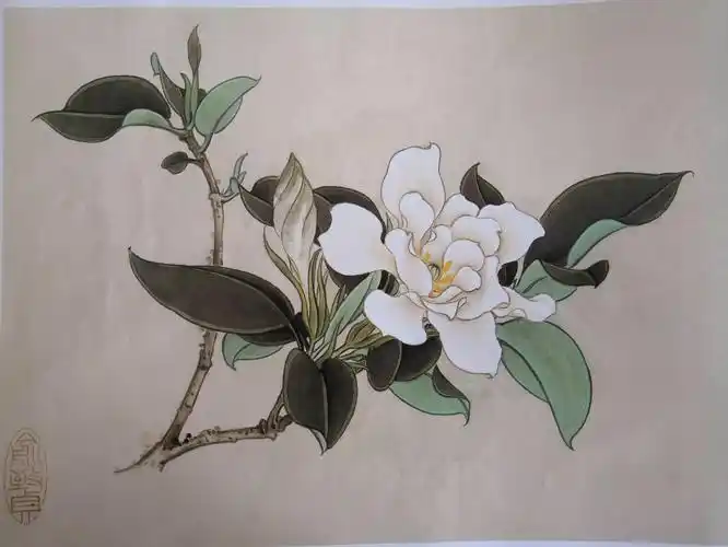 栀子花(荣宝斋画谱)