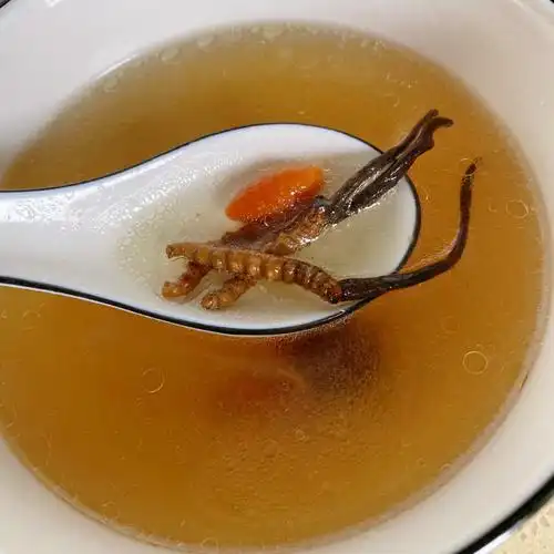 99增强免疫力,补益肺肾的虫草汤_冬虫夏草_提高免疫力_北京同仁堂