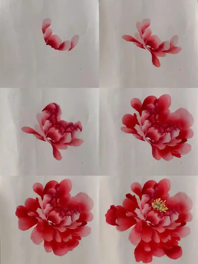 国画写意红牡丹画法.图文版教给大家学习一下牡丹的画法,大家# - 抖音