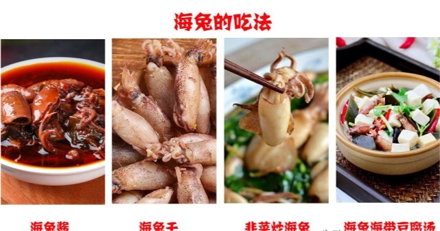 乌贼和章鱼的区别鱿鱼墨鱼八爪鱼海兔的区别及不同吃法