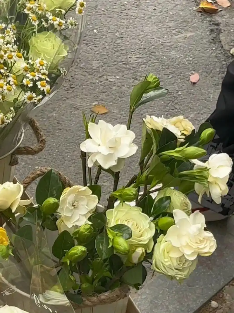 栀子花的花语是爱与等候 如果有人送你栀子花 记得回答我也在等你