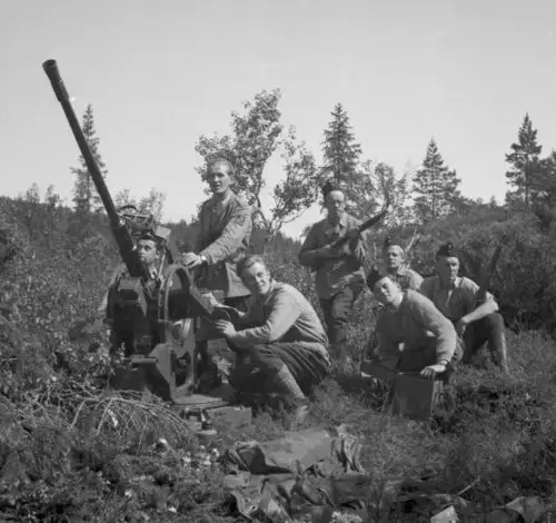 1948年挪威军队训练 依旧沿用二战德国高射炮