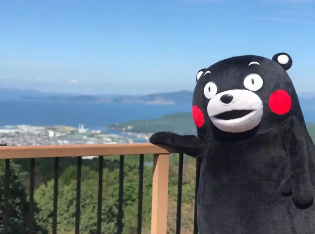 熊本熊动画化经典表情包再现过气网红能否挣扎成功