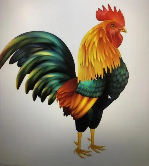 郭庄中心幼儿园中班级部线上课程--美术绘画活动《大公鸡》