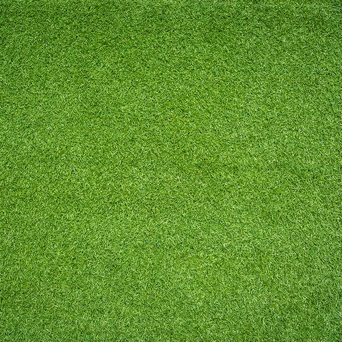 草坪草地高清背景绿色植被底纹贴图ps填充设计素材