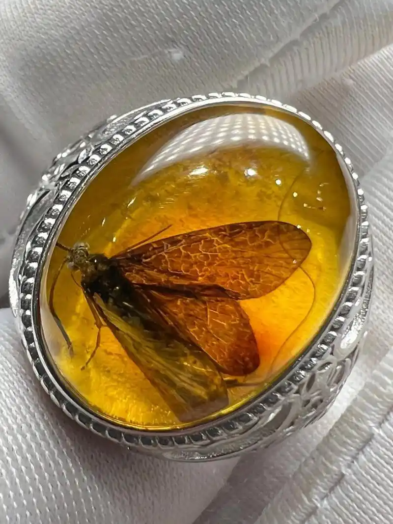 波罗的海地区虫珀赏析 我们在欣赏虫珀的时候,要注意天然虫珀动态挣扎