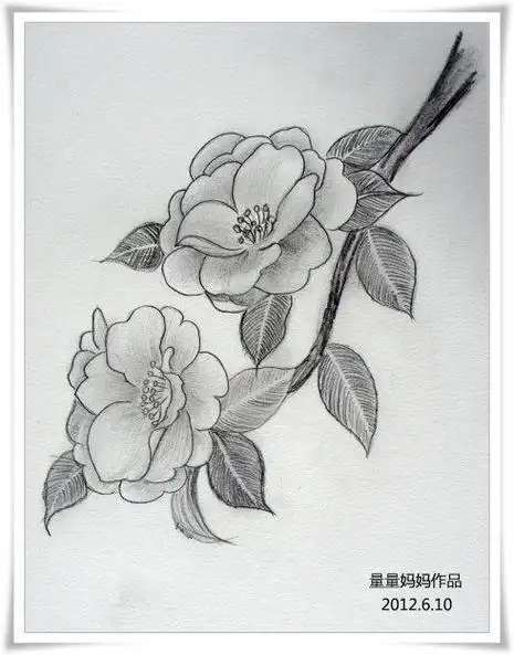 栀子花简笔画 栀子花的画法栀子花简笔画 简单易学栀子花简笔画栀子花